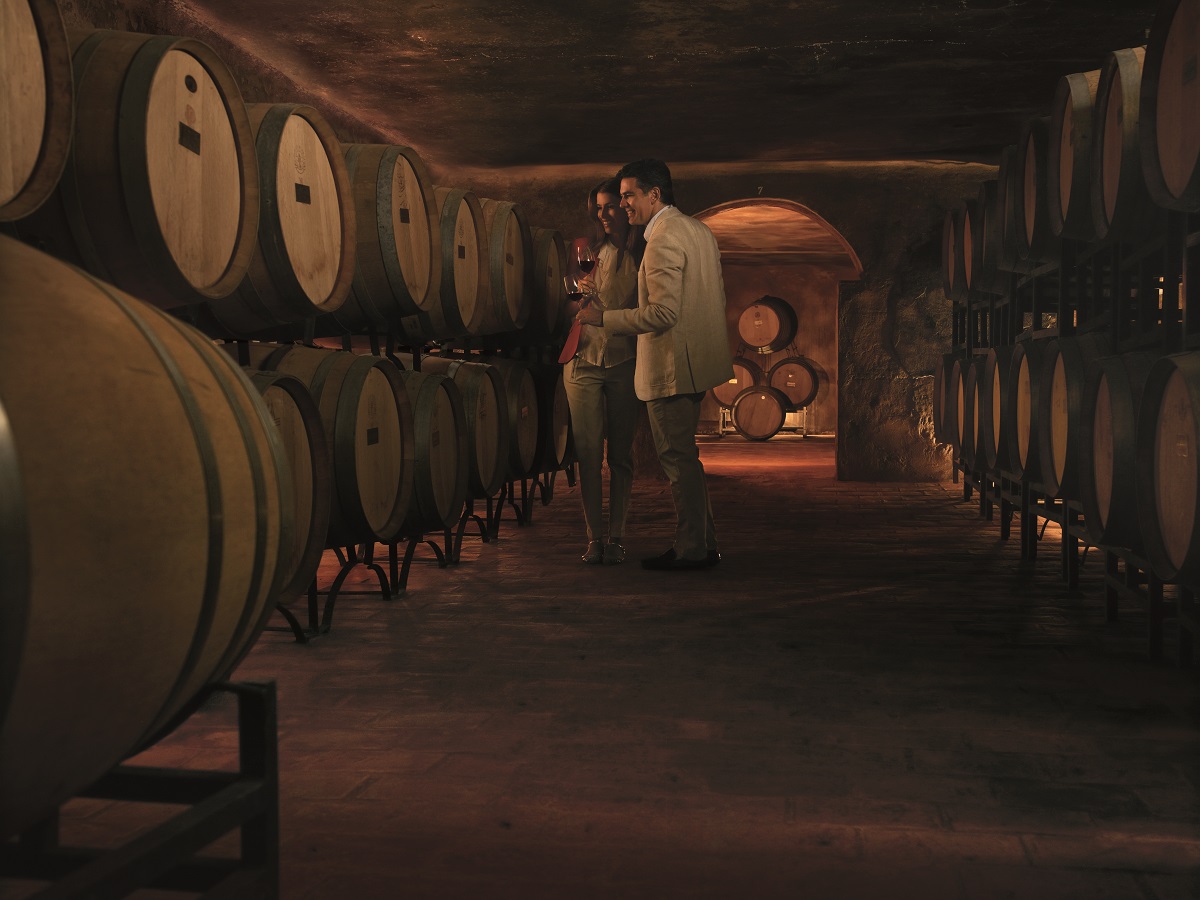 Мендоса, Аргентина Mendoza vino