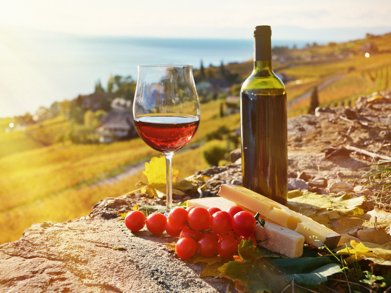 Грузинские вина gruzinskoe vino