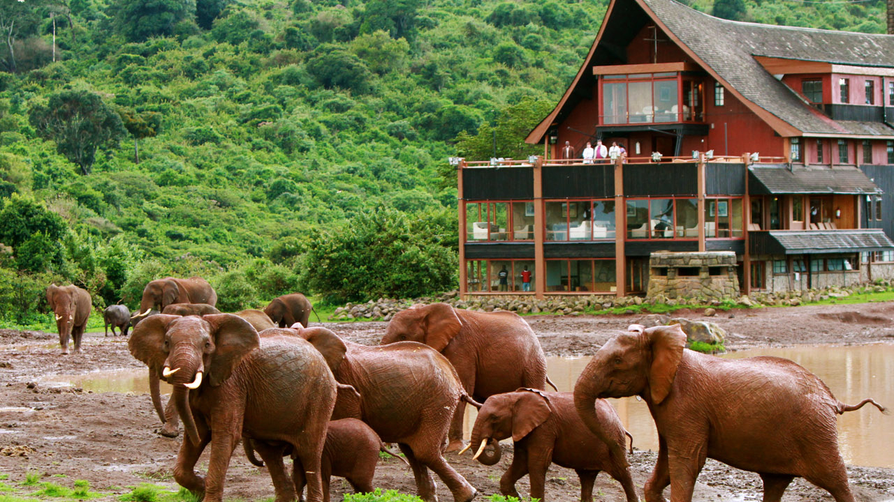The Ark Lodge The Ark Lodge