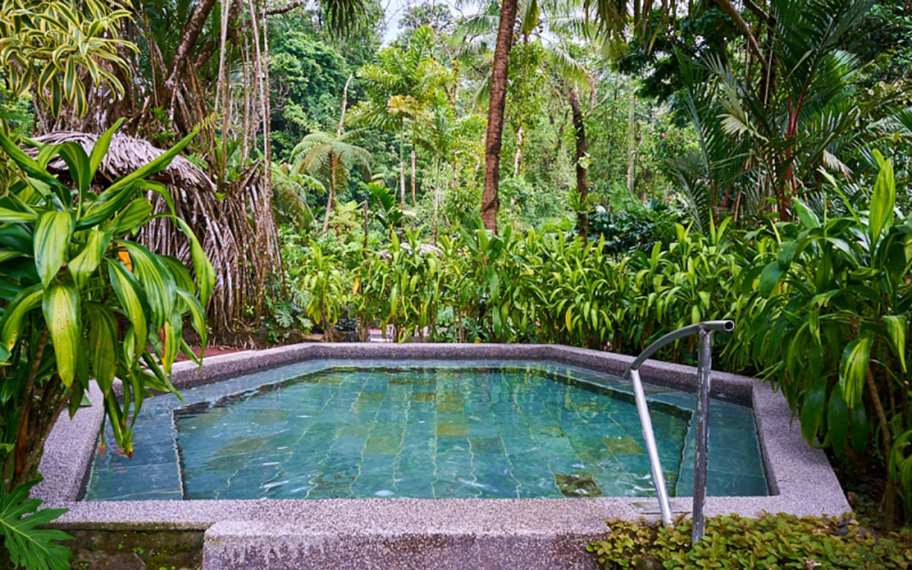 Термальные источники Tabacon Resort & Spa Термальные источники Tabacon Resort & Spa