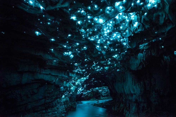 Пещеры Вайтомо Пещеры Вайтомо