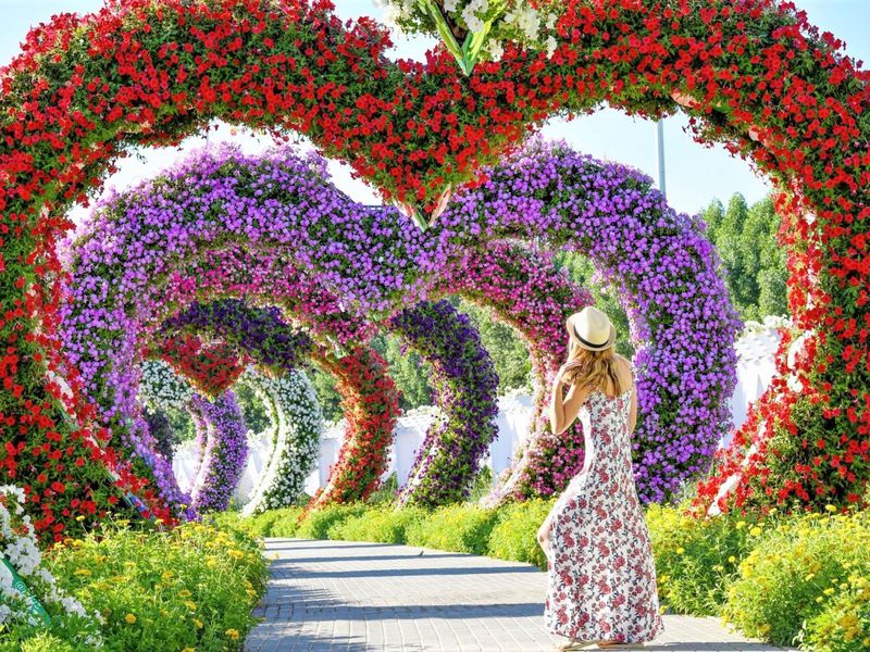 Dubai Miracle Garden Dubai Miracle Garden
