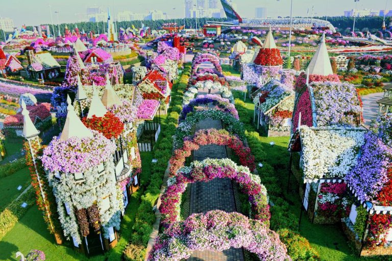Dubai Miracle Garden Dubai Miracle Garden