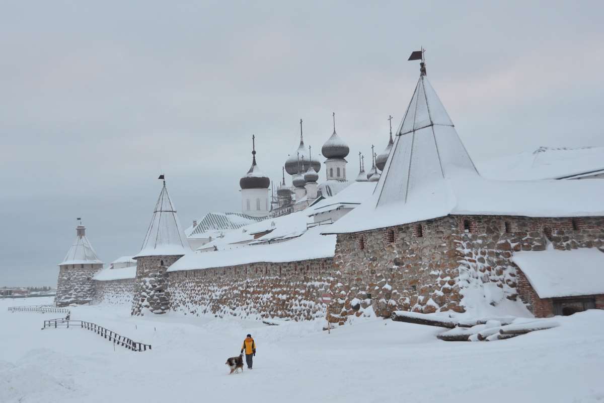 Соловецкие острова зимой Архангельск Соловки зима бельки тюлени