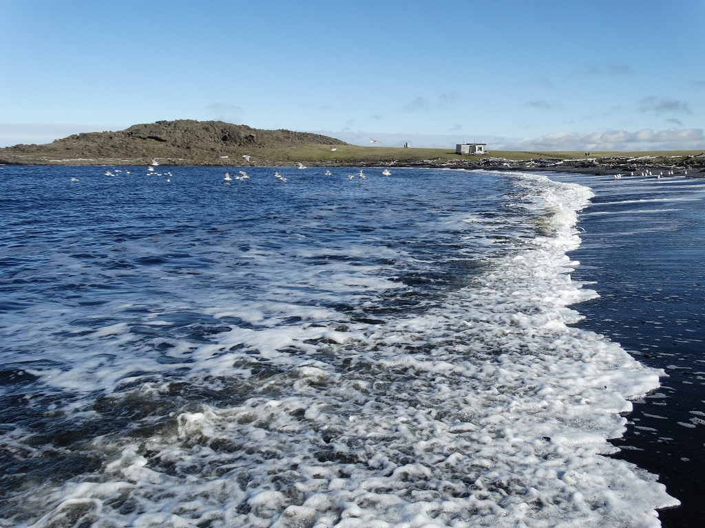 Карское море, Диксон, берег Чичагова Карское море, Диксон, берег Чичагова