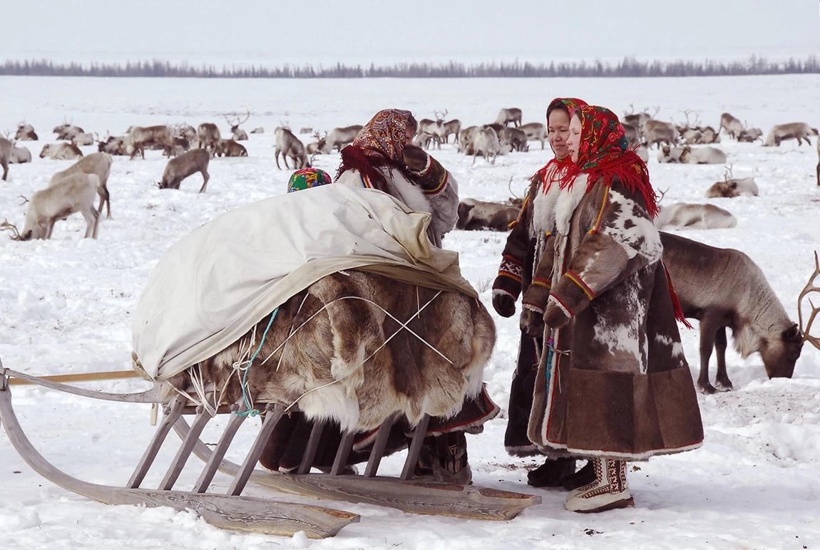 Канинская тундра Канинская тундра