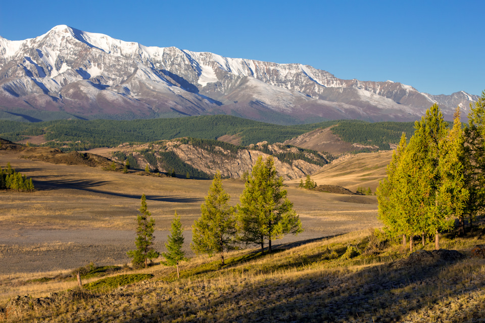 Курайская степь Курайская степь