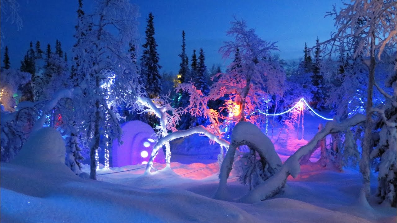Таинственный лес, Кировск Таинственный лес, Кировск
