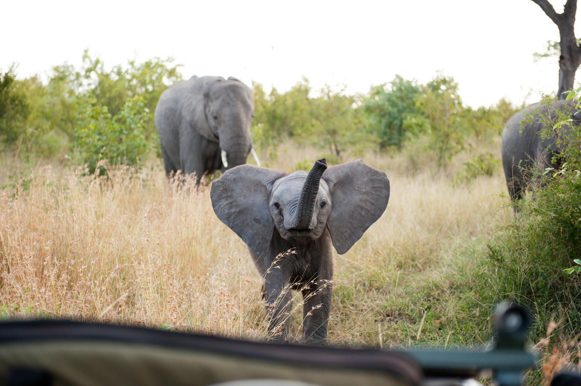 Singita Boulders Lodge 5* Singita Boulders Lodge 5*
