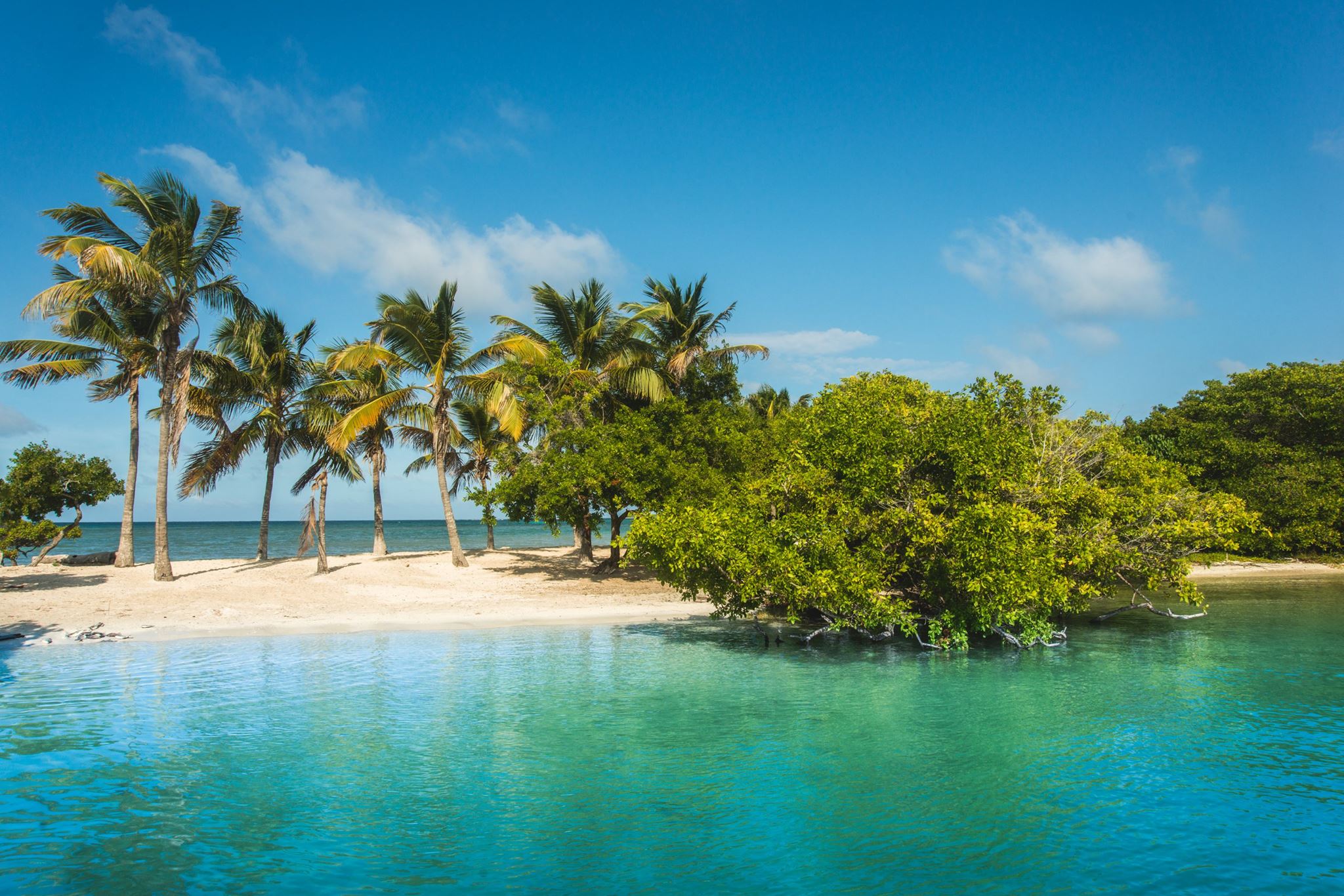 Национальный парк Моррокой morrocoy