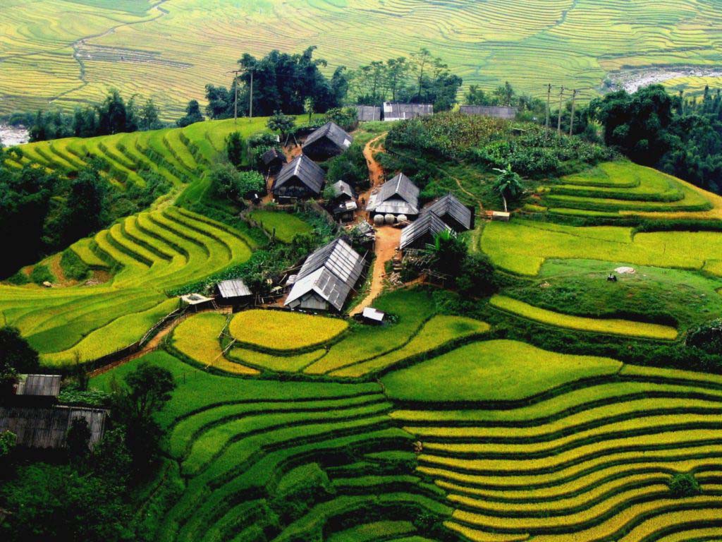vietnam
